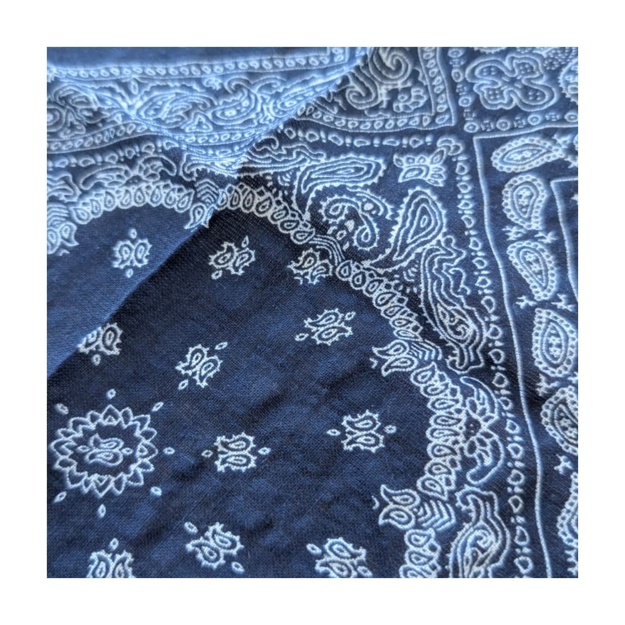 Eclipse - Scarf